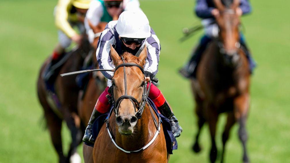 Alpine Star: in line to make her return at York on Friday
