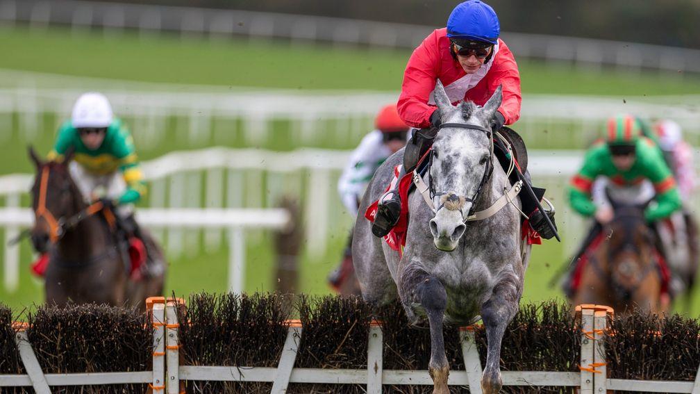 Tullyhill: impressive at Punchestown