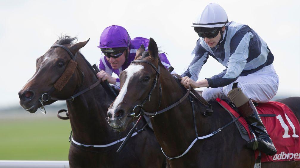Yucatan: second in the Racing Post Trophy