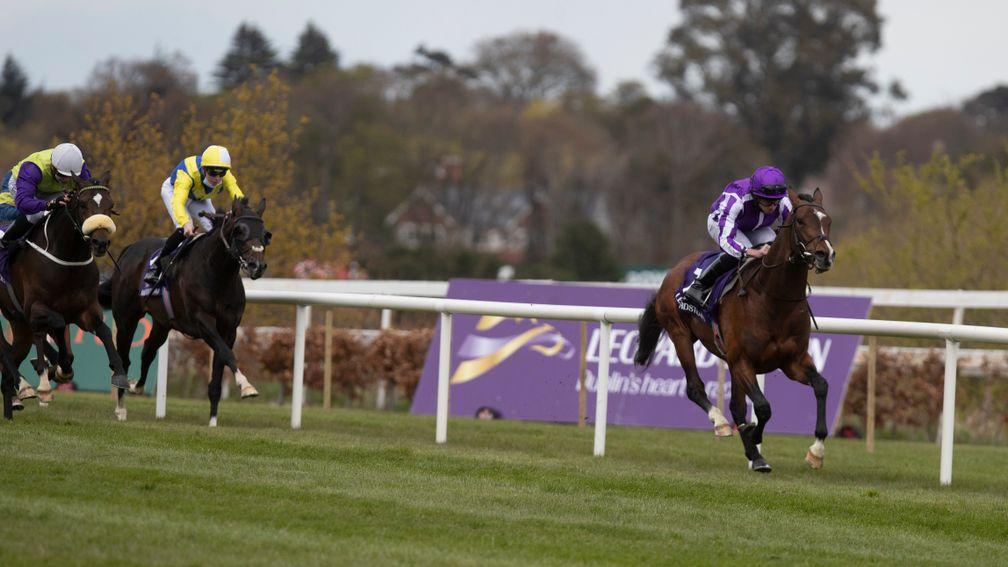 Sir Lamorak: 16-1 chance for the Derby following an easy victory at Leopardstown last month