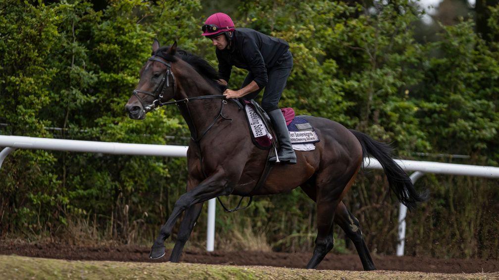 Ten Sovereigns: a doubt for the Sprint Cup