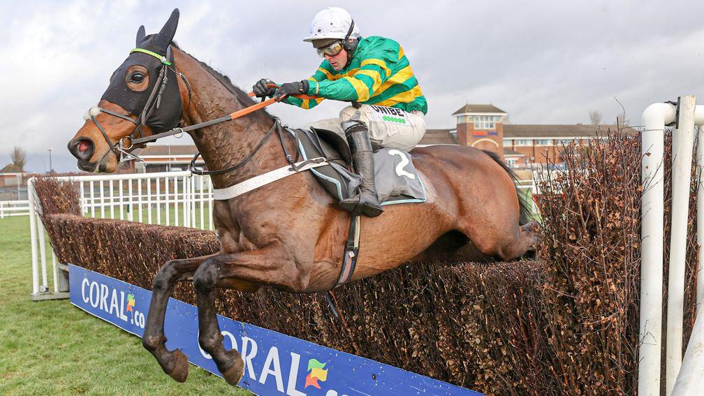 Dame De Compagnie: an impressive winner on her chase debut