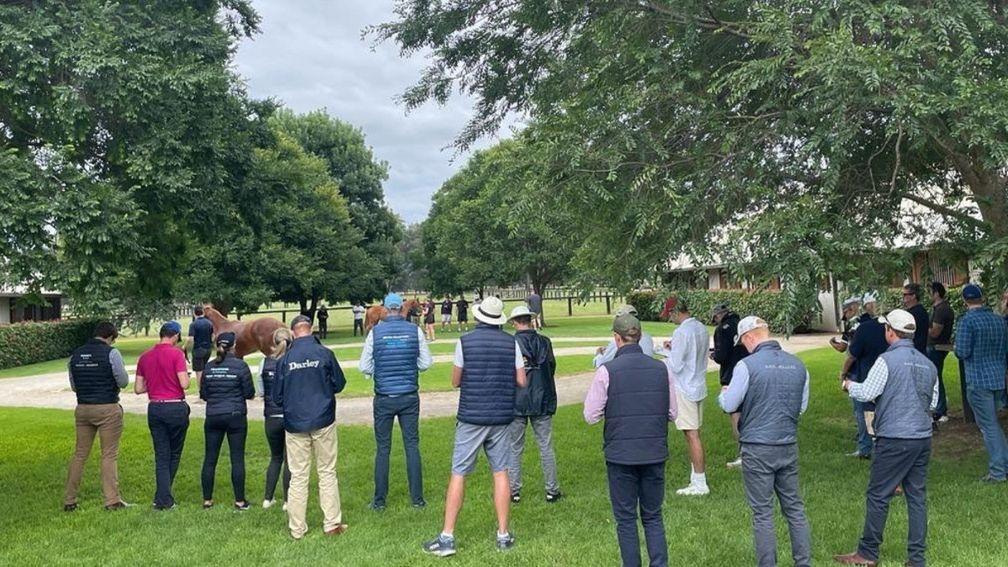 Trainees visit Widden Stud for inspections ahead of Magic Millions