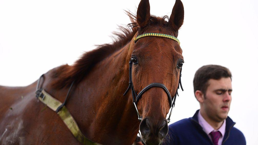 None the worse: Yanworth and Barry Geraghty were both unharmed after the tumble