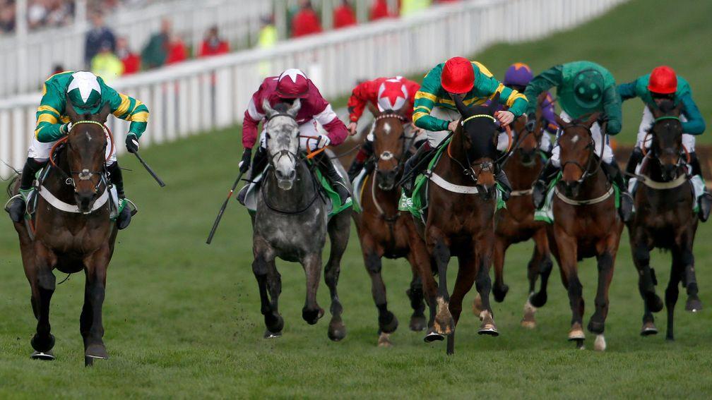 The leading lights begin to fight out the finish of the Champion Hurdle, with winner Buveur D'Air (left), runner-up My Tent Or Yours (fourth left, red cap) and third Petit Mouchoir (second left)