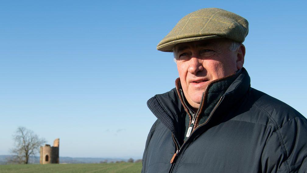 Always looking for an edge: Paul Nicholls, 11-time champion trainer, surveys the scene from the top of his gallops