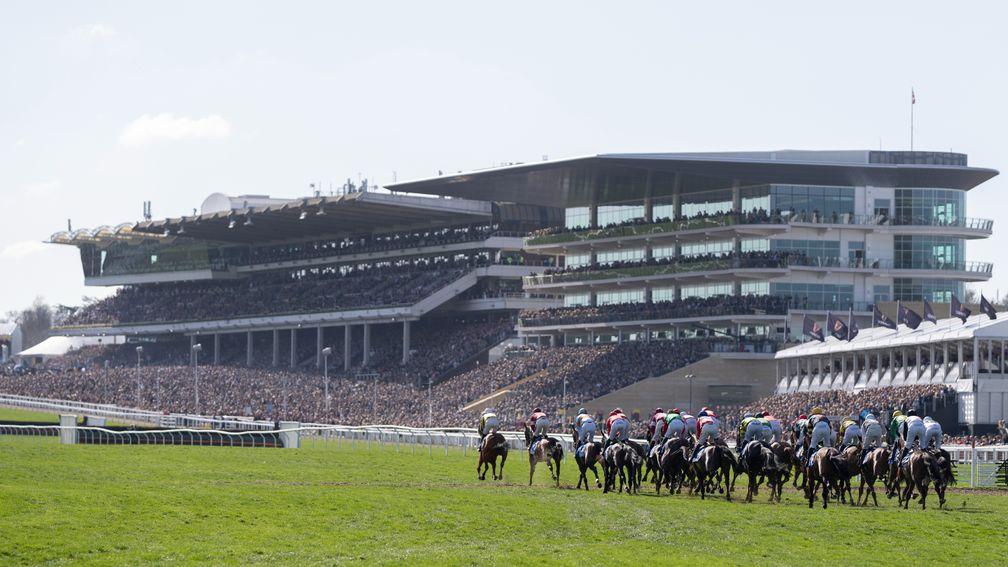 Cheltenham: festival attracted the lowest average number of runners per race ever this year