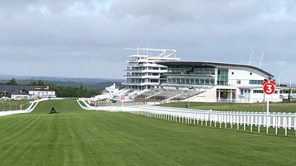 Epsom: reported to be one of two racing venues that will be Covid-19 vaccine sites