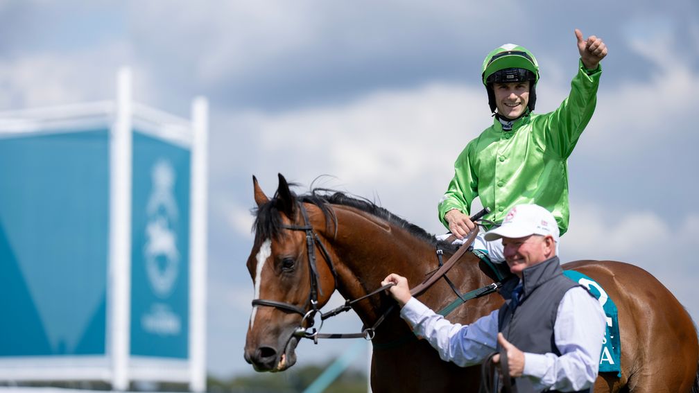 Jm Jungle: another speed star for his Rathasker Stud-based sire