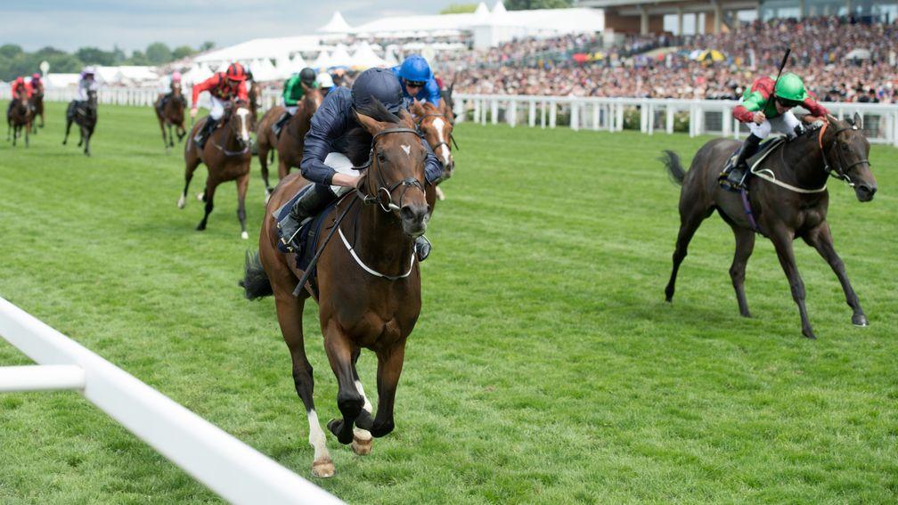 September: the brilliant Chesham Stakes winner is likely to run at the Curragh on Sunday