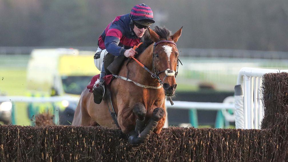 Kauto Riko: belied odds of 100-1 to finish second in the Peterborough Chase