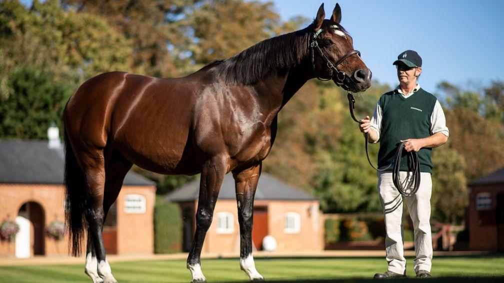 Frankel claimed the title of Britain’s leading sire by earnings from Dubawi