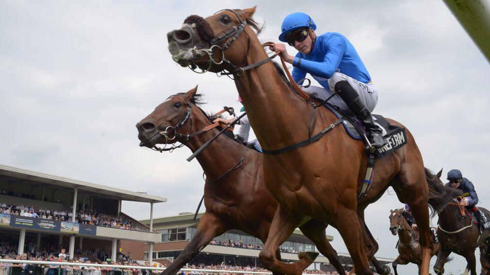 Home Of The Brave (blue): aiming to win the Leicester feature for the second year