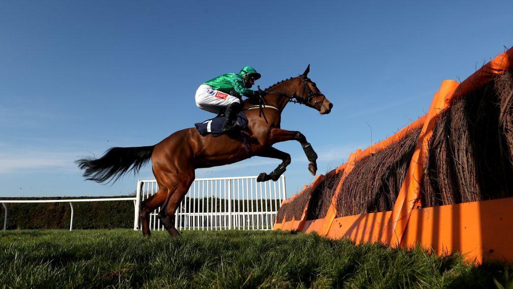 Raffles Gitane soars over a hurdle on her way to victory at Hereford