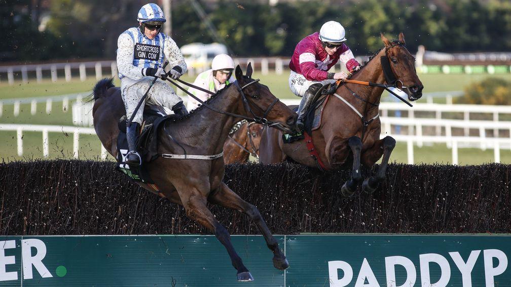 Killultagh Vic (left) makes a mistake before falling at the last in the Irish Gold Cup at Leopardstown
