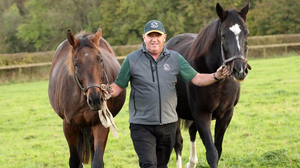 A pair of aces: Dar Re Mi (left) and The Fugue (right) with stud manager Terry Doherty