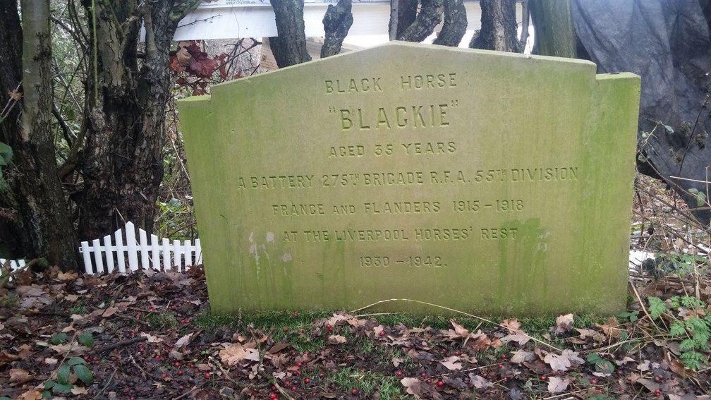 The grave of Blackie, who served at Arras, the Somme, Cambrai and Ypres, where he suffered severe shrapnel wounds, has been given heritage status by Historic England