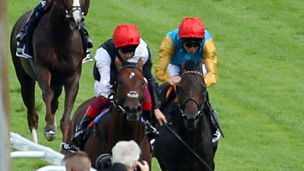 Windstoss (right):  the half-brother to Weltstar upsides Cracksman in the Coronation Cup