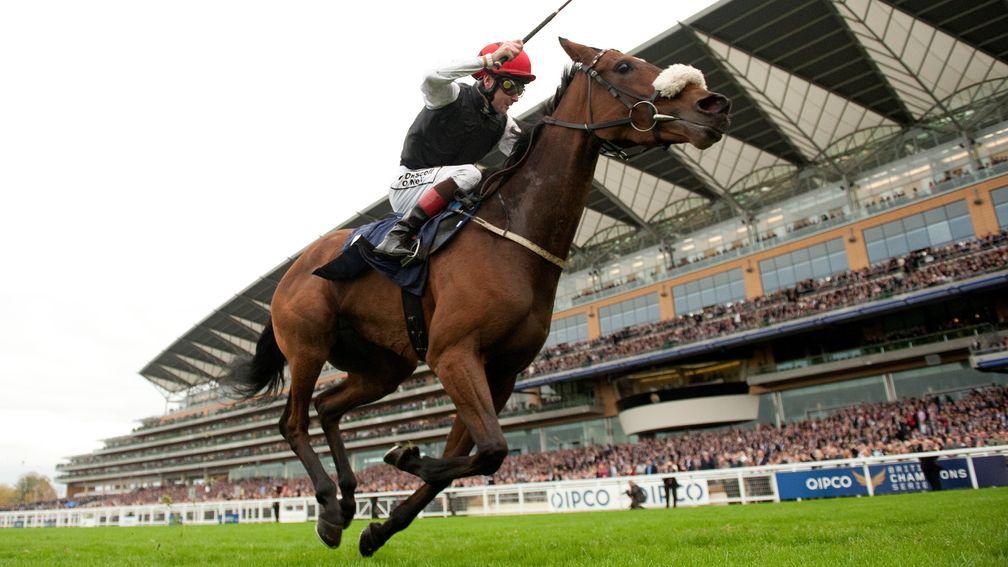 Sapphire winning the Fillies' And Mares' Stakes at Ascot in 2012