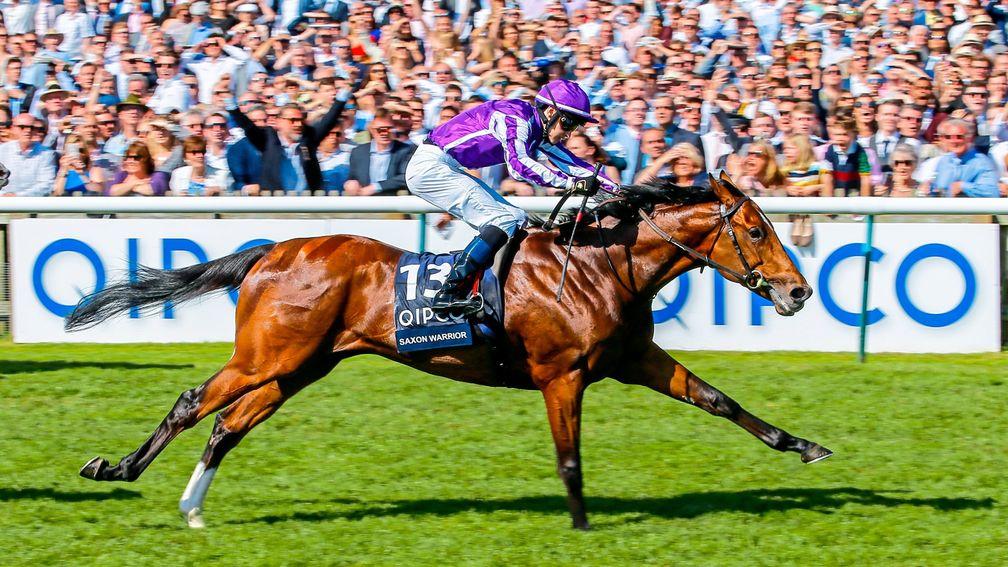 Saxon Warrior: will be suited by the Irish Derby trip, says Steve Miller