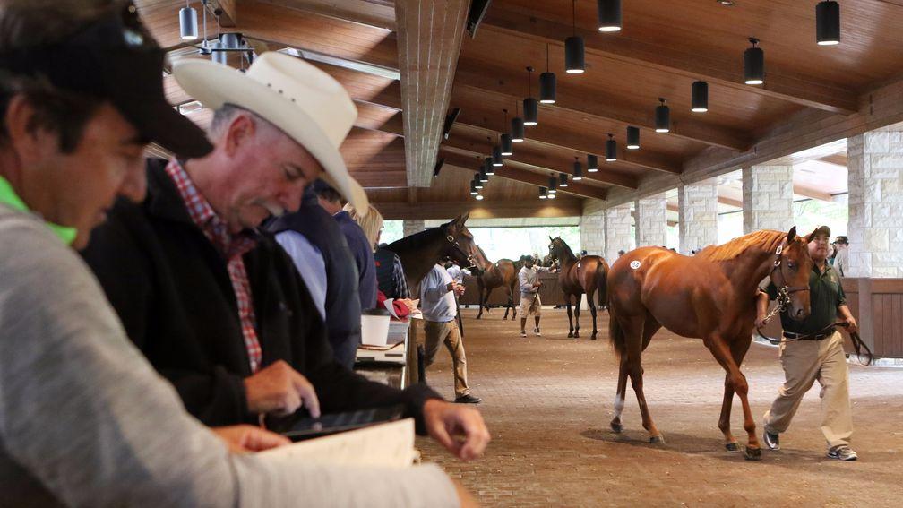Keeneland: format change meant momentum carried on to the final days of the sale