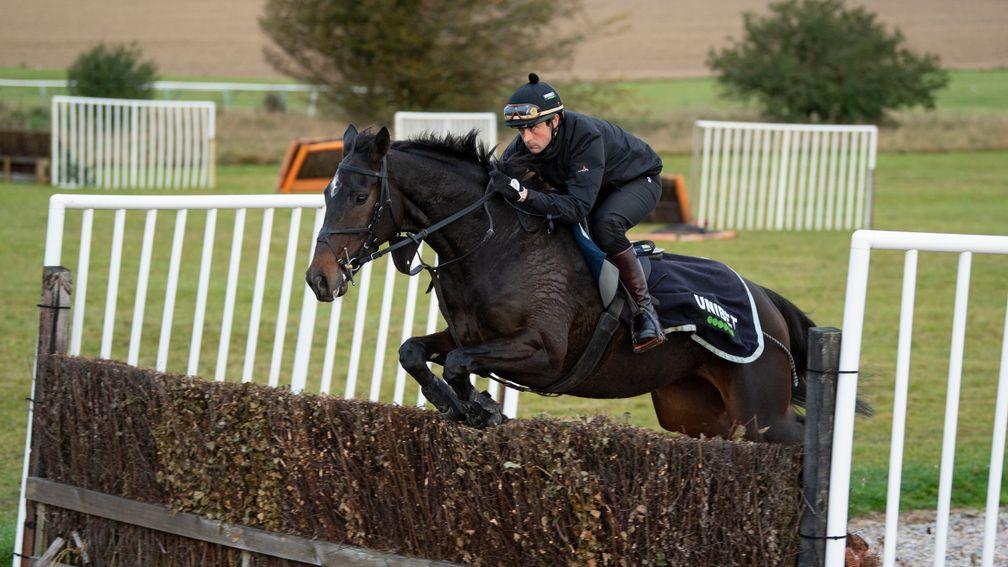 Shishkin could not have impressed more in his early schooling over fences, says Mick Fitzgerald