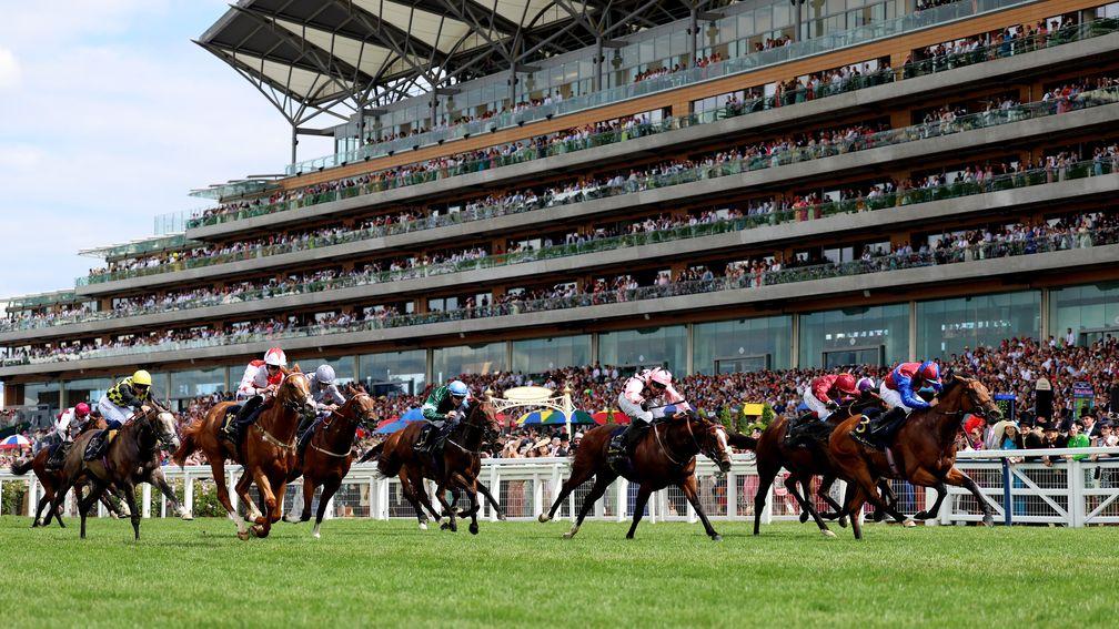 Royal Ascot: almost 270,000 attended this year's five-day meeting