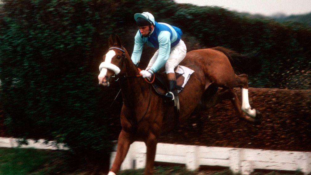 Tingle Creek: two-mile star, seen here in typical spring-heeled form at favourite track Sandown, was one of the most popular jumpers of the last 50 years