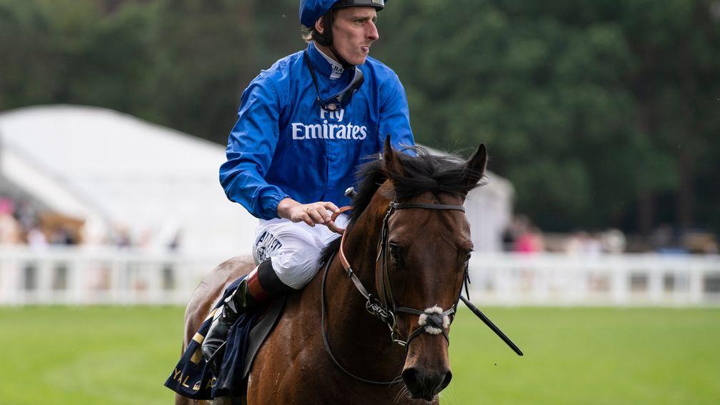 Harry Angel: was lame coming off the track at Royal Ascot on Saturday