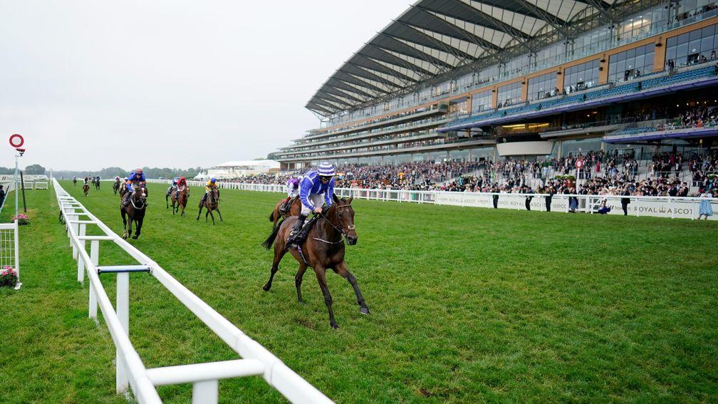 Stratum: the Royal Ascot winner has strong claims at Galway