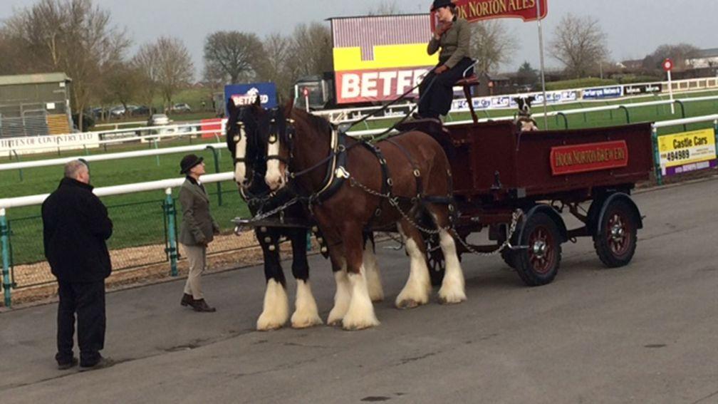 Unwelcome guests: the shire horses had not been declared to be on course by the BHA