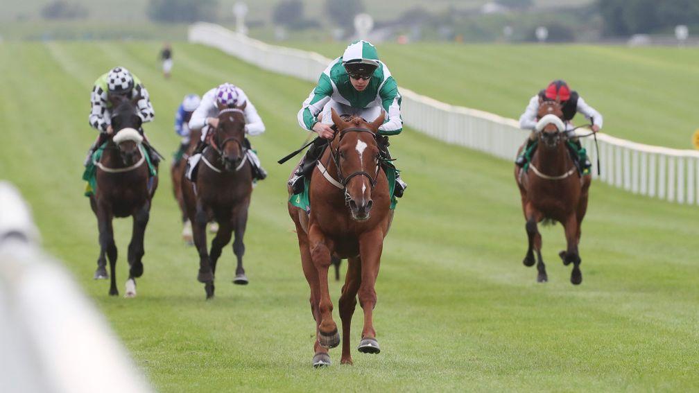 Micro Manage goes up to 109 after his Curragh success and has myriad options available