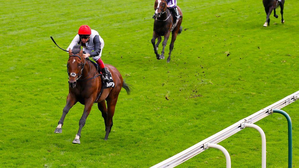 Cracksman: the son of Frankel has impressed on his last two starts
