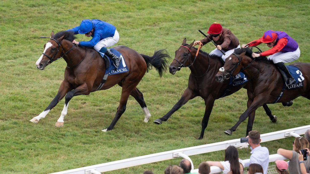 Mysterious Night: leading fancy for the Craven Stakes on Thursday