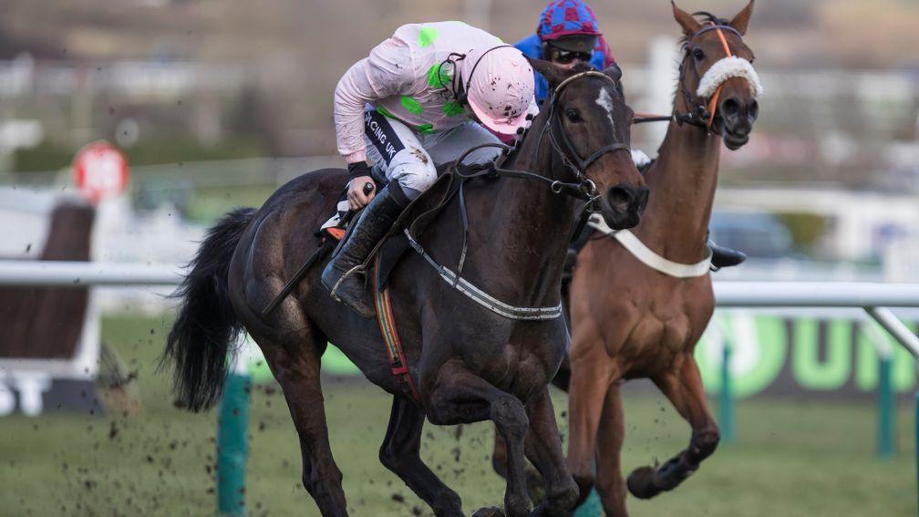 Benie Des Dieux and Ruby Walsh won the OLBG Mares' Hurdle in 2018 but fell at the last when having the race at her mercy a year later
