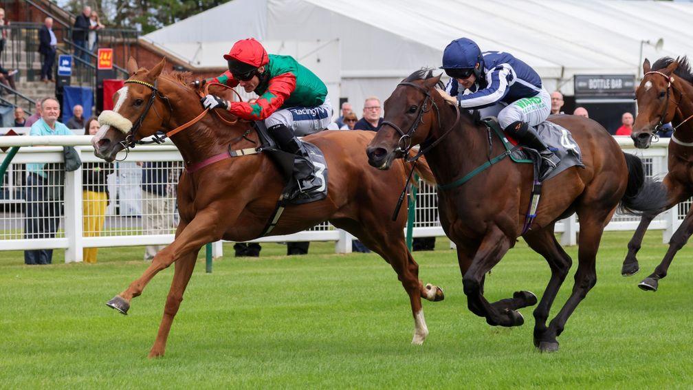 Northern Express (far): one of the horses affected in the opening handicap at York