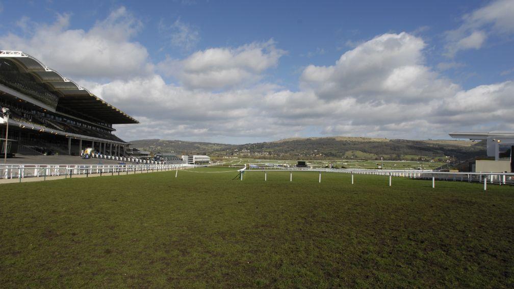 Cheltenham: stage is set for a cracking Open meeting