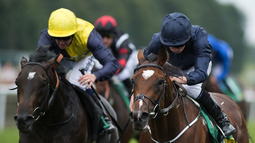 Nebo (yellow cap) pushed Gustav Klimt all the way in the Superlative Stakes but scoped dirty after disappointing at Yor