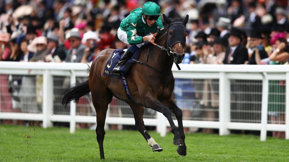 Aljazzi (William Buick) winning the Duke of Cambridge Stakes was a highlight for her trainer Marco Botti, his first Royal Ascot success