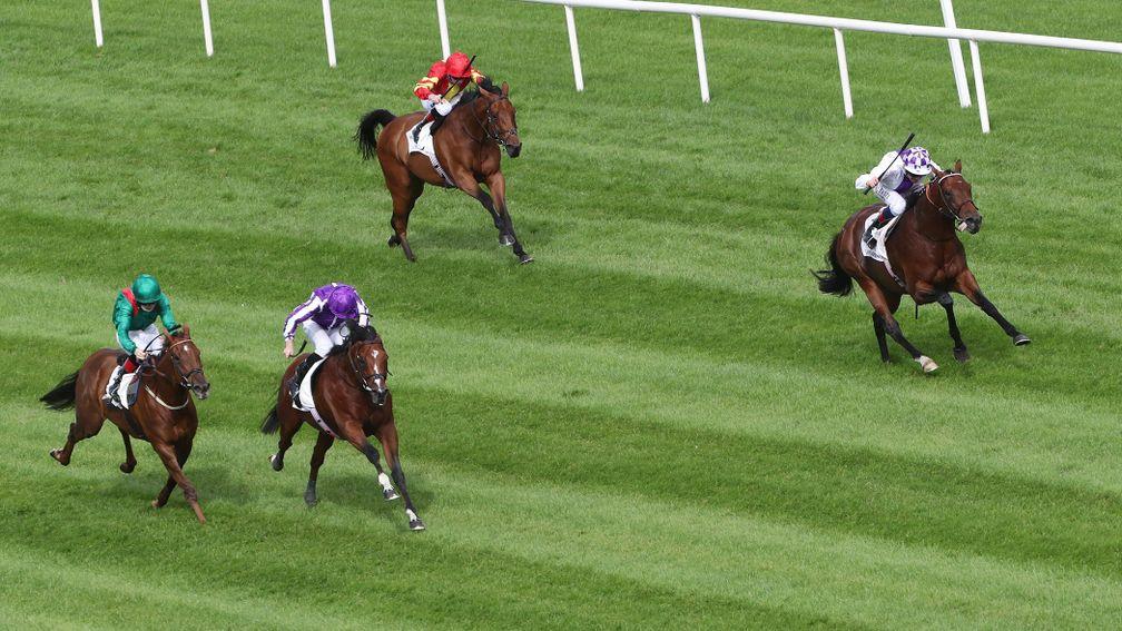 St Mark's Basilica (second left) drifts across the track in front of Tarnawa before winning the Irish Champion Stakes at Leopardstown. Poetic Flare (right) ran well to finish third on his first try at 1m2f