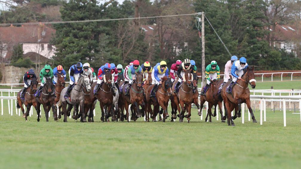 Leopardstown: will not introduce racing on the Friday