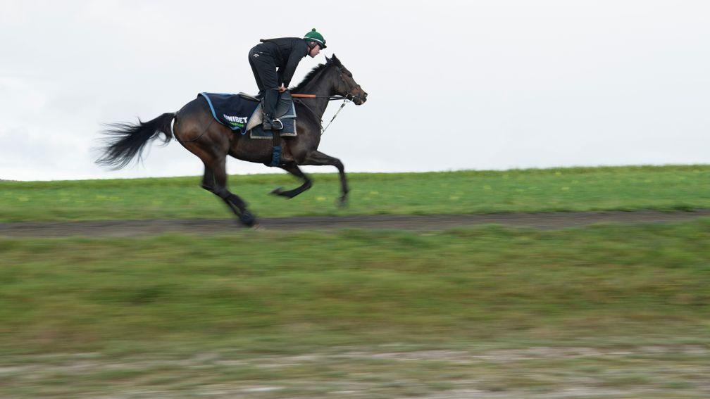 Altior has been in sparkling form on the gallops in recent weeks