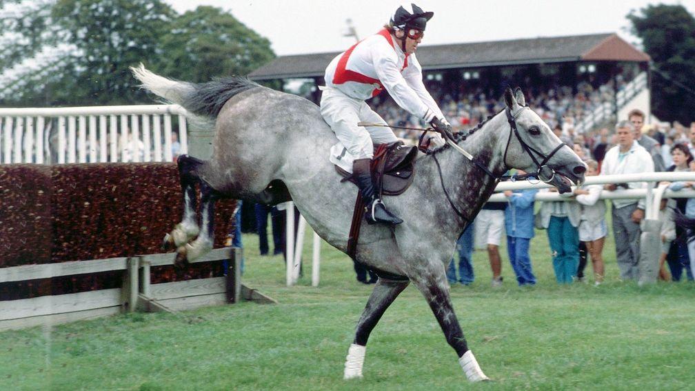 Yangtse-Kiang and Granville Davies win the Trundle Handicap Chase at Fontwelll in 1988
