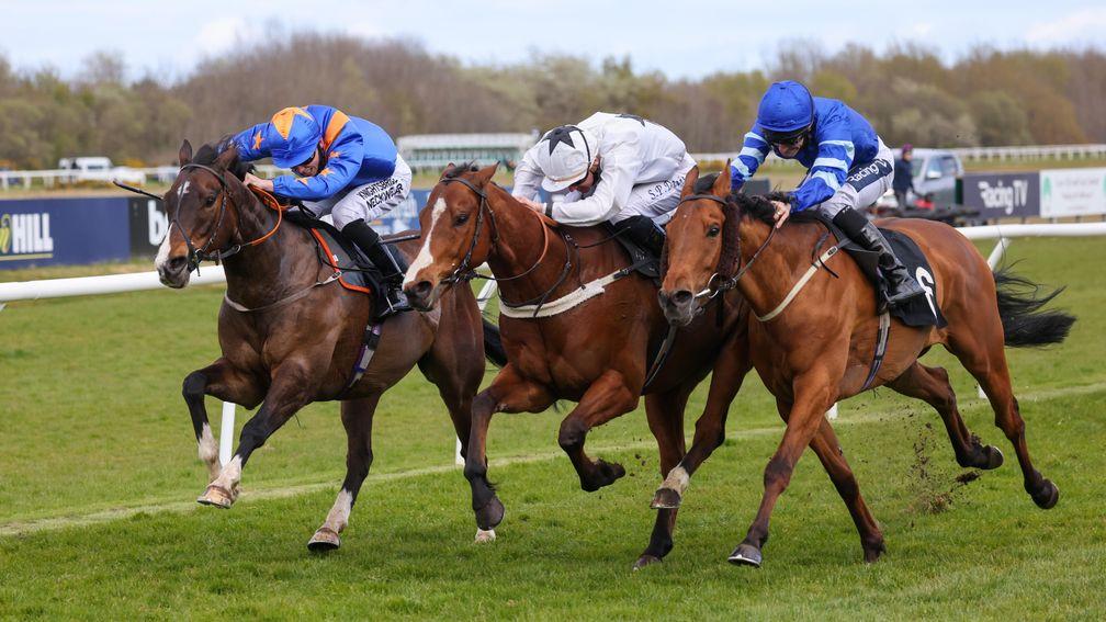 Perfect Soldier (middle) wins a close fought race at Musselburgh