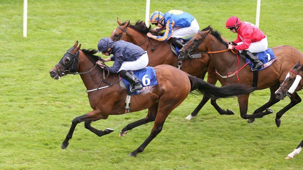 Washington DC (6) winning the Phoenix Sprint Stakes at the Curragh