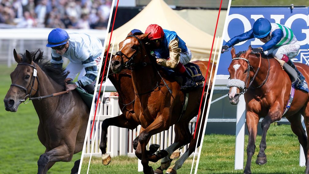 Quickthorn (left), Courage Mon Ami and Coltrane (right) all clash again in the Lonsdale Cup