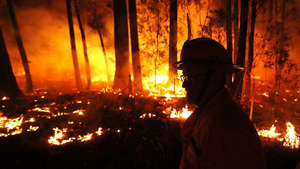 Racing NSW has made funding available for participants affected by the raging fires