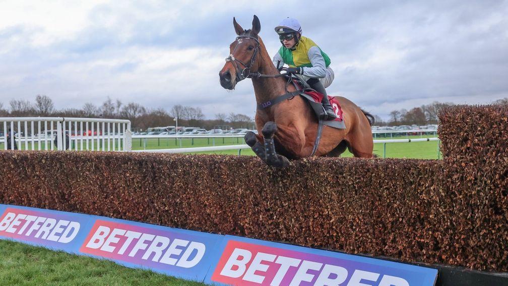 Iron Bridge is left on his own to take the novice handicap chase
