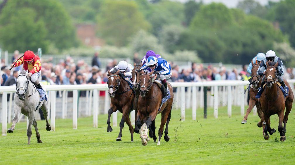 Passenger (right): finished a luckless third in the Dante Stakes at York