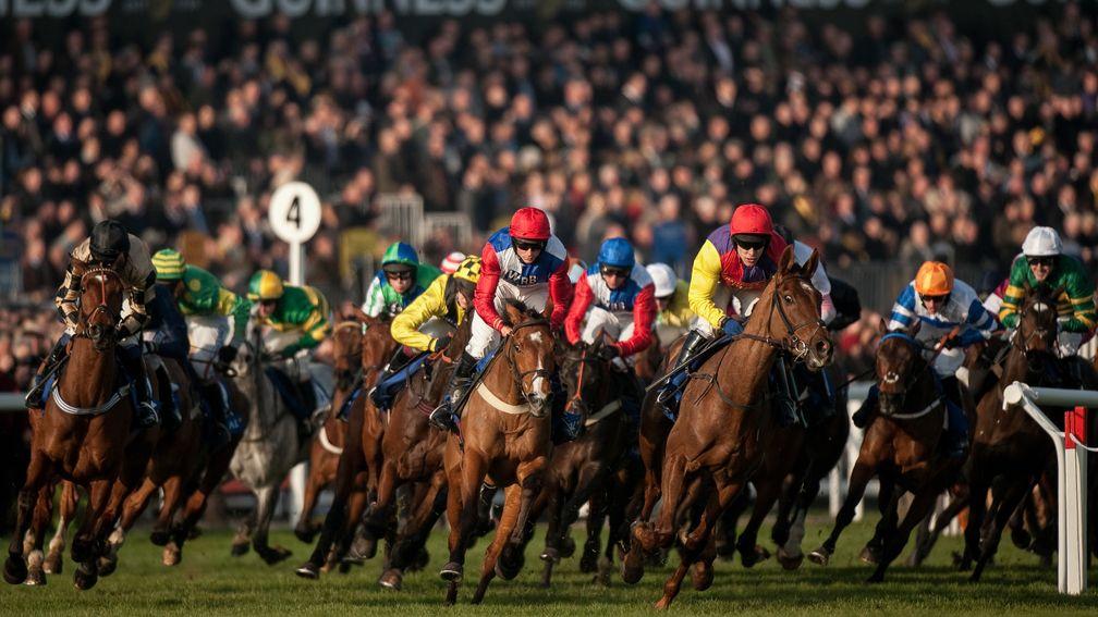 March: On the attack – the runners for the Coral Cup drill away from the stands which could only be those of the Cheltenham Festival. A circuit to go and everything to play for